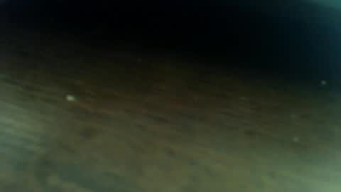 Snapshot of osyryx chatting on 03-05-26, 08:27 Lucas online show from 03-05-26, 08:27