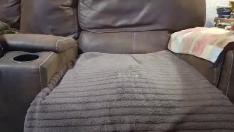 outdoorsmanmark71 online show from 09-10-25, 09:59