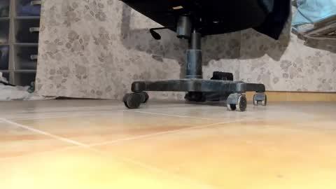 Snapshot of pablomenesssl chatting on 12-17-25, 06:36 Pablo Meness online show from 12-17-25, 06:36