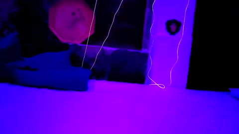 Snapshot of pablouyu chatting on 12-22-24, 05:56 pablouyu online show from 12-22-24, 05:56