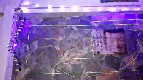 Snapshot of pablouyu chatting on 01-01-25, 04:18 pablouyu online show from 01-01-25, 04:18