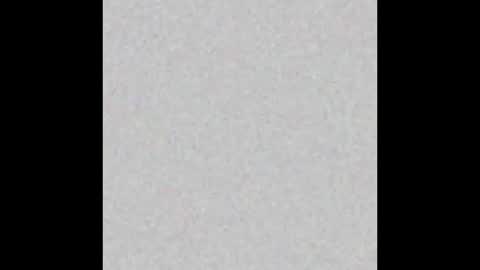 Snapshot of pack2 chatting on 10-26-25, 09:26 pack2 online show from 10-26-25, 09:26