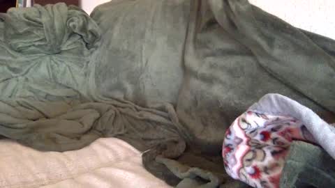 paintdude424 online show from 09-26-25, 01:48