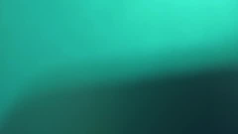   PALA online show from 03-08-25, 11:18