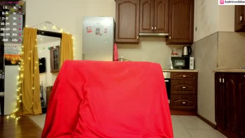 Snapshot of palach2323 chatting on 01-29-25, 01:48 Katrin Vebber online show from 01-29-25, 01:48