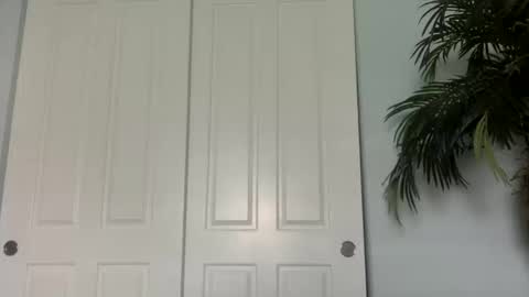 Snapshot of palmflaco chatting on 10-11-25, 05:44 palmflacco online show from 10-11-25, 05:44