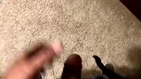 palote_69 online show from 11-15-25, 03:37