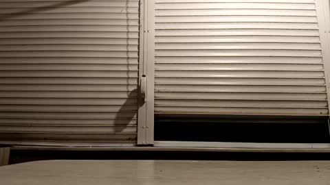 angel hris online show from 12-03-25, 05:11