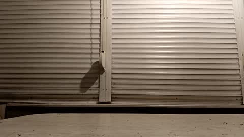 angel hris online show from 02-06-26, 04:54