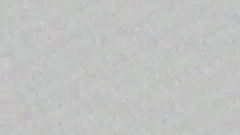 Snapshot of panther_cap chatting on 06-08-26, 09:37 In bio online show from 06-08-26, 09:37