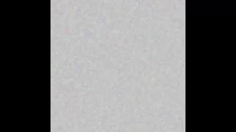 Paola Williams online show from 01-22-25, 09:32