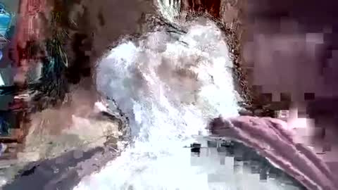 papajb70 online show from 01-20-25, 03:26