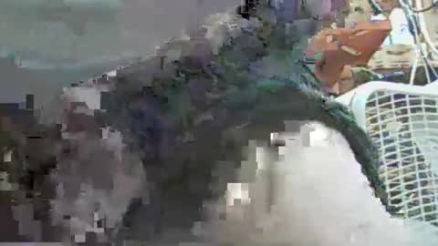 papajb70 online show from 09-29-25, 02:27