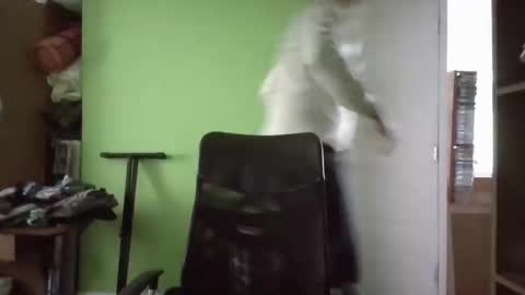 Snapshot of papitowilly999 chatting on 03-11-25, 05:24 Papito online show from 03-11-25, 05:24