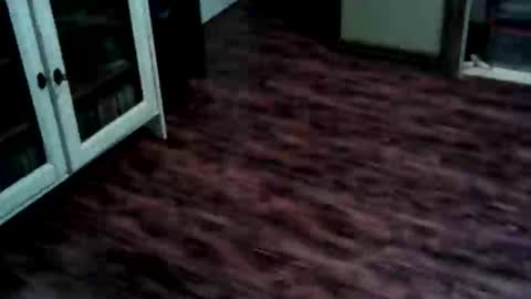Snapshot of papous41 chatting on 05-25-26, 03:51 Ricky online show from 05-25-26, 03:51