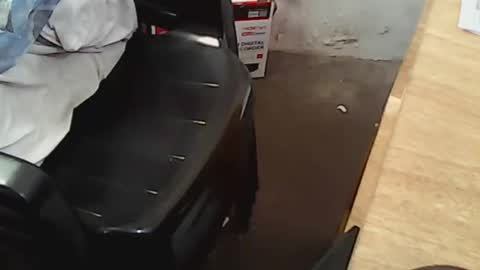 Snapshot of pareja201722 chatting on 12-14-24, 07:46 pareja201722 online show from 12-14-24, 07:46