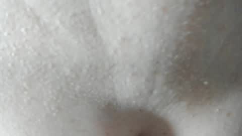 sara and andreu online show from 12-07-24, 06:04