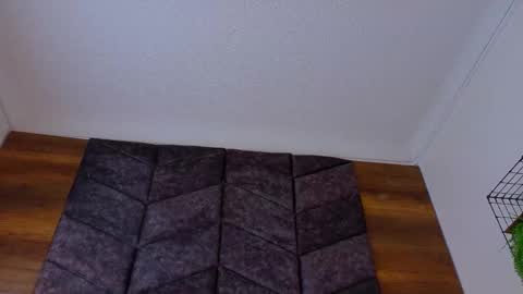 PARIS online show from 02-18-26, 08:16