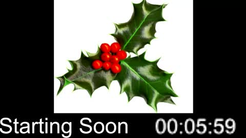 Snapshot of passion4fashion chatting on 12-25-24, 09:00 Passion4Fashion online show from 12-25-24, 09:00