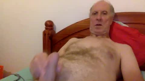 Pati24 online show from 01-02-25, 07:51