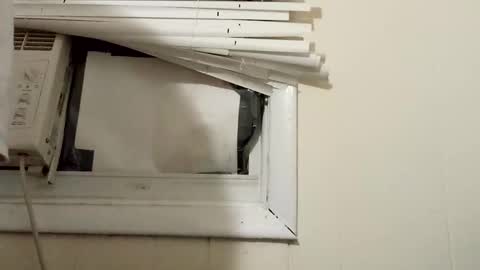 JD online show from 12-17-24, 11:27