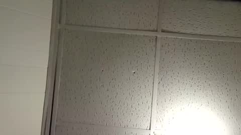 JD online show from 11-19-25, 02:44