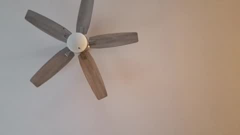 patrick247288 online show from 01-12-25, 09:40