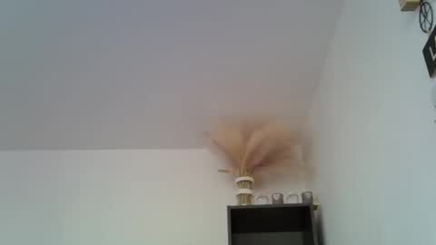 Snapshot of patrick5275 chatting on 12-16-24, 11:44 patrick5275 online show from 12-16-24, 11:44