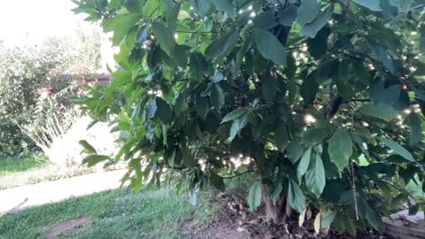 Andreea online show from 09-23-25, 06:16