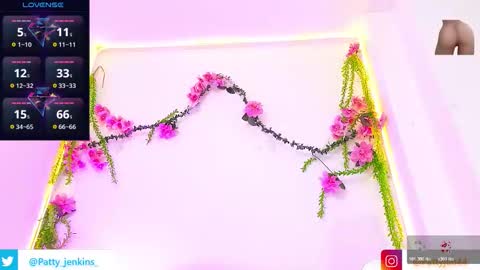 Hi  Pvt open Moans from lovense  tell me  Fav   113366 Especial level 33 online show from 10-18-25, 02:03