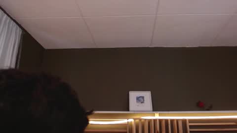 Snapshot of paul_evanss chatting on 11-13-25, 01:54 Paul online show from 11-13-25, 01:54