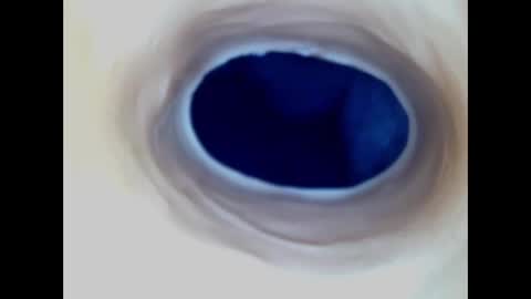 Paula 18 Aninhos online show from 12-23-25, 01:03