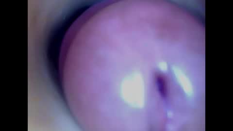 Paula 18 Aninhos online show from 02-27-26, 06:13