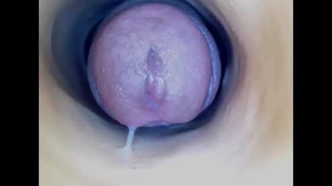 Paula 18 Aninhos online show from 04-26-26, 04:04