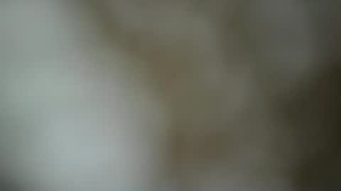 Snapshot of paulasmithph chatting on 11-17-25, 06:46 paulasmithph online show from 11-17-25, 06:46