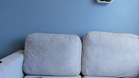 Paul Phoenix online show from 01-02-25, 06:12