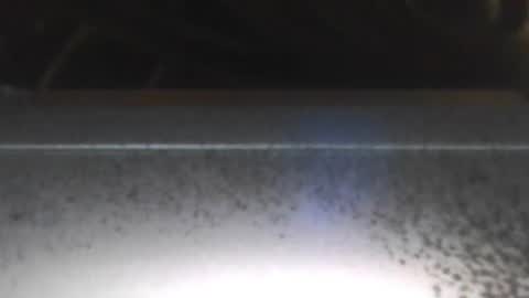 paulstetson online show from 12-26-24, 08:00