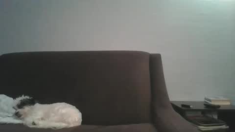 paybarbi online show from 01-16-26, 05:33