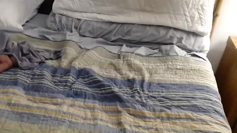 perdidobch online show from 12-13-24, 01:44