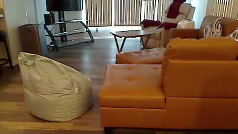 perfecto1957 online show from 12-07-24, 07:10