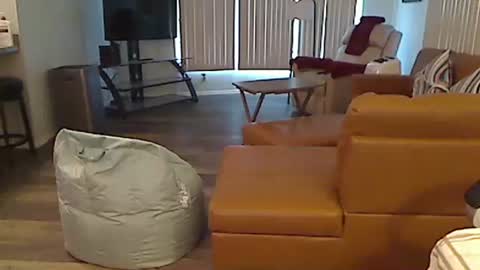 perfecto1957 online show from 12-24-24, 03:58