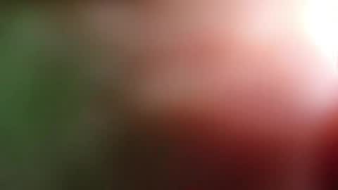 perla_lovely online show from 05-01-26, 12:54