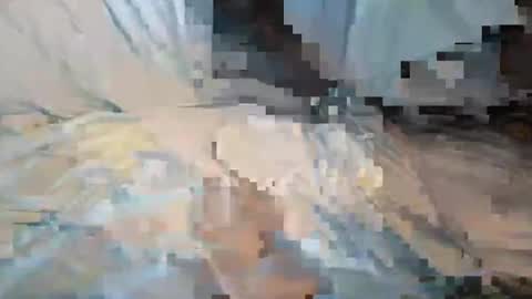 perreo69 online show from 02-09-25, 10:53