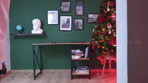 andres    online show from 12-28-24, 08:25