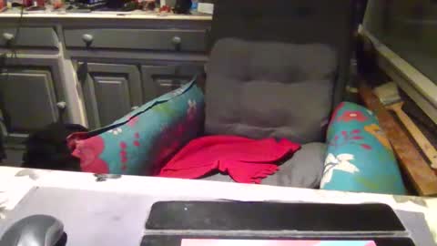 Snapshot of peter_on_kik chatting on 11-01-25, 04:25 make me cum in pvt dutch german daddy c2c bigcock online show from 11-01-25, 04:25