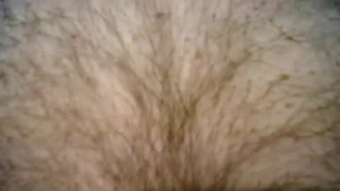 peterpeteropoulos online show from 02-27-25, 07:37