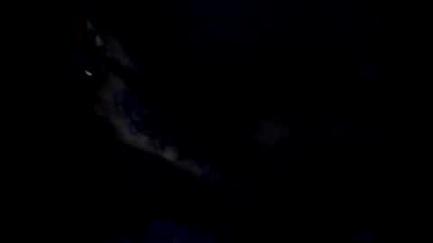 peterson1978 online show from 05-20-26, 12:06