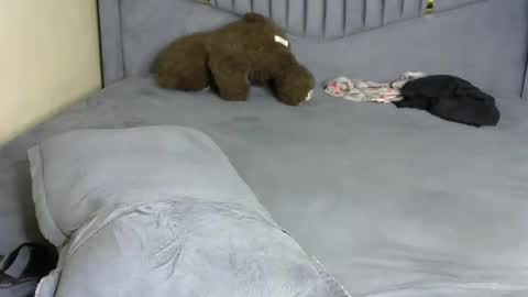 petite_byb online show from 03-10-26, 07:13