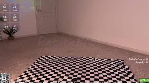 Snapshot of petitebrat chatting on 11-05-25, 12:54 PiperAvery online show from 11-05-25, 12:54