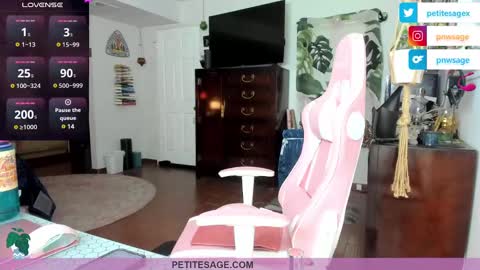 petitesage online show from 12-25-24, 11:53